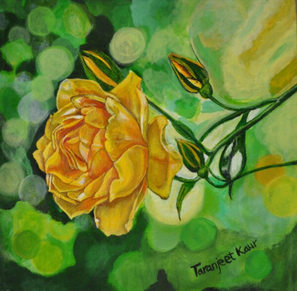 yellow rose